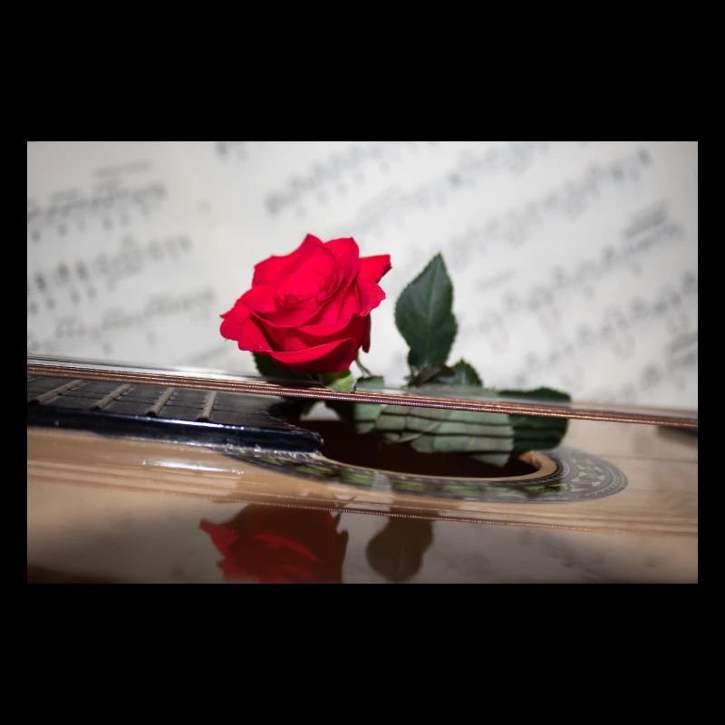 Red Rose on Guitar