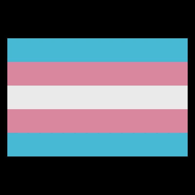 Trans flag
