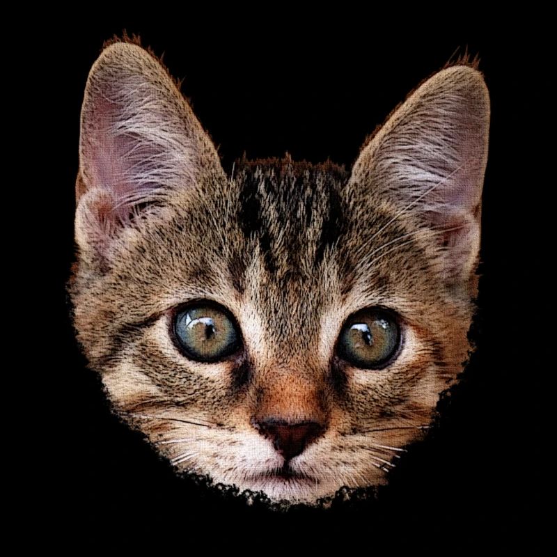 kätzchen Gesicht, tabby Motive, gestromt