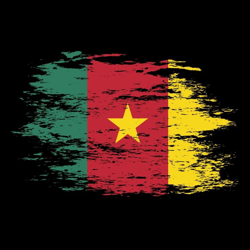 Cameroon flag used