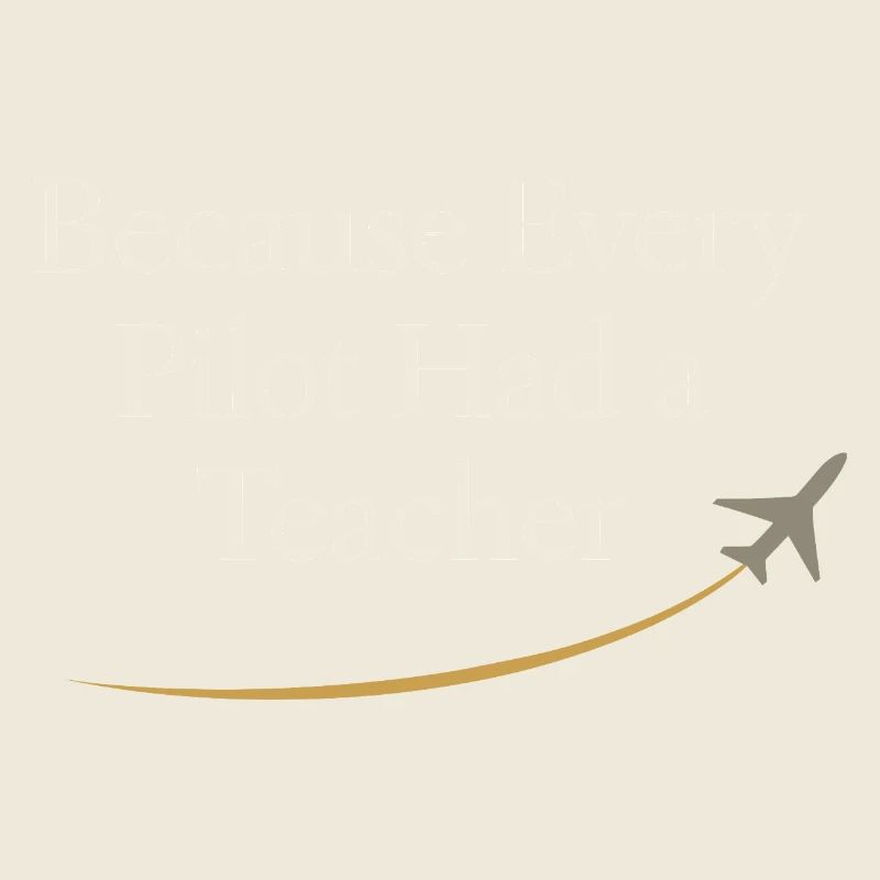 Flight Instructor Cfi Pilot Aviation Instructor