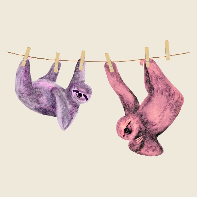 Sloth Chilling Funny Animal Motif Gift