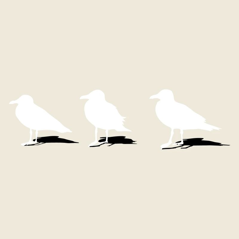 seagull gull bird harbour sailing ocean sea ship