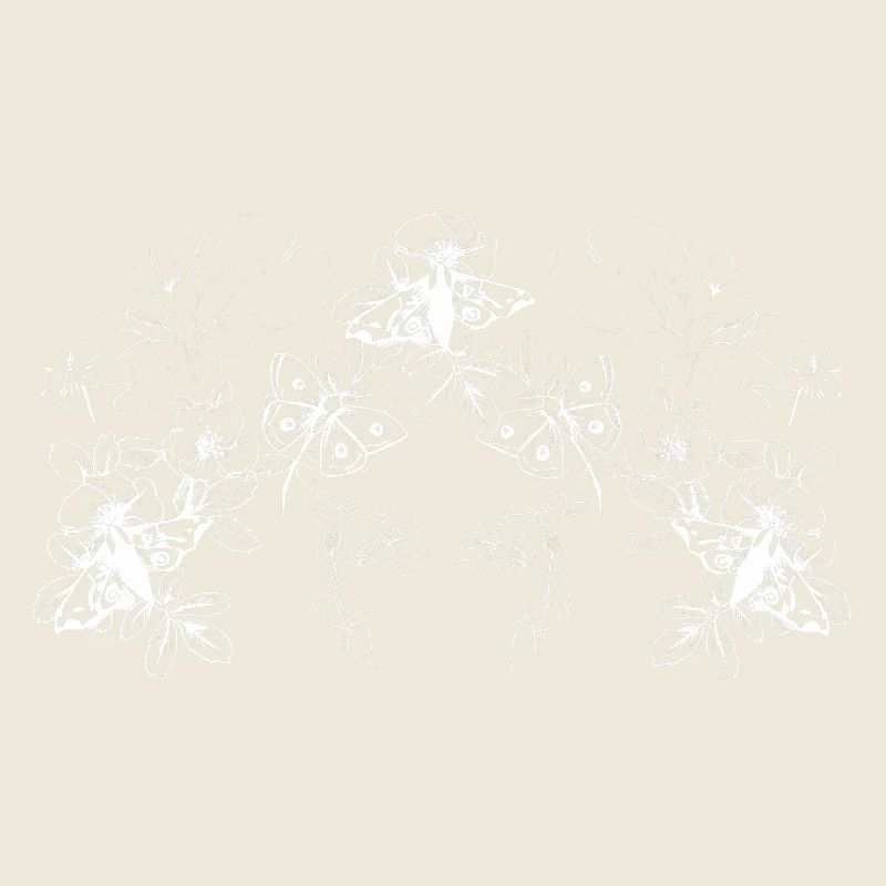 PAPILLONS
