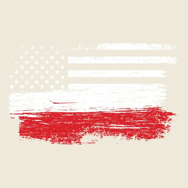 Brushed U.S. Flag Art