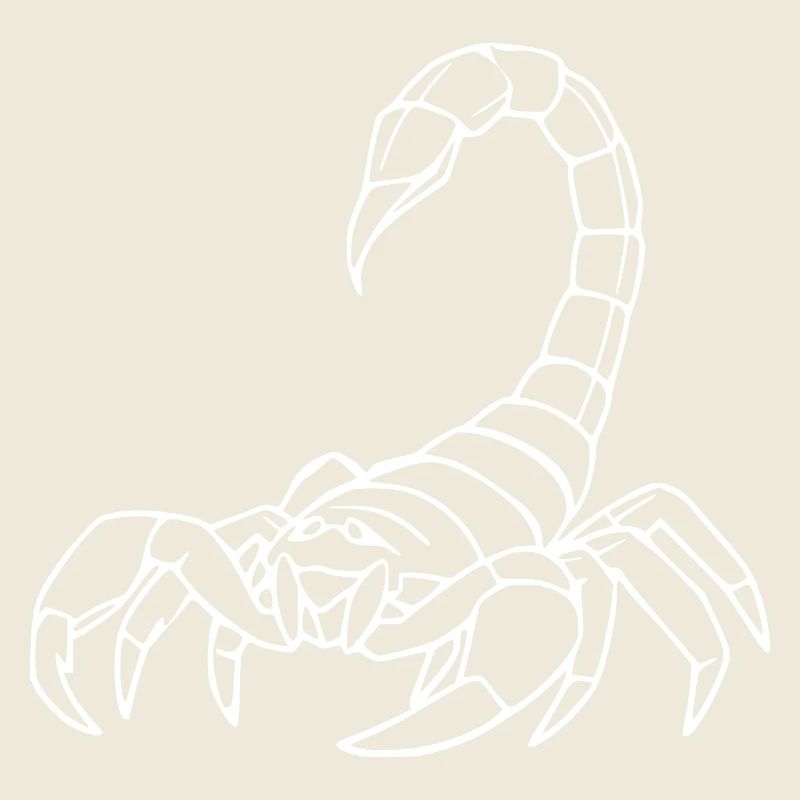 Skorpion Sternzeichen T-shirt Geschenk