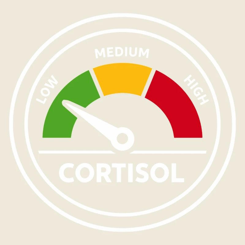 Cortisol Messgerät Lustig Hormone Geschenk