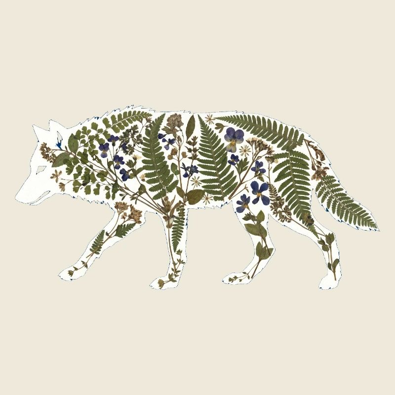 Botanique du loup