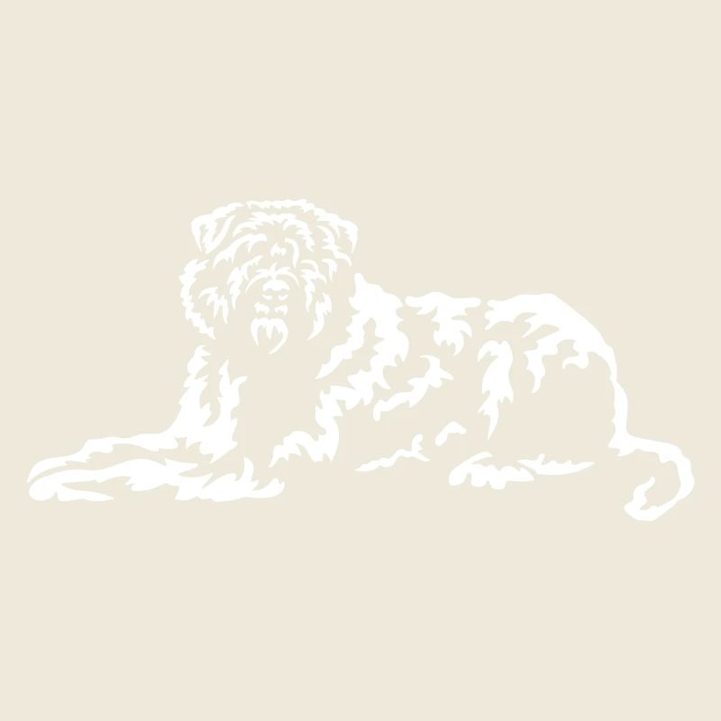 Bouvier de Flandre's "Black Edition"
