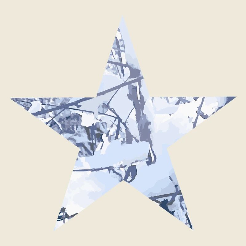 Stern Winter Schnee Digital Art