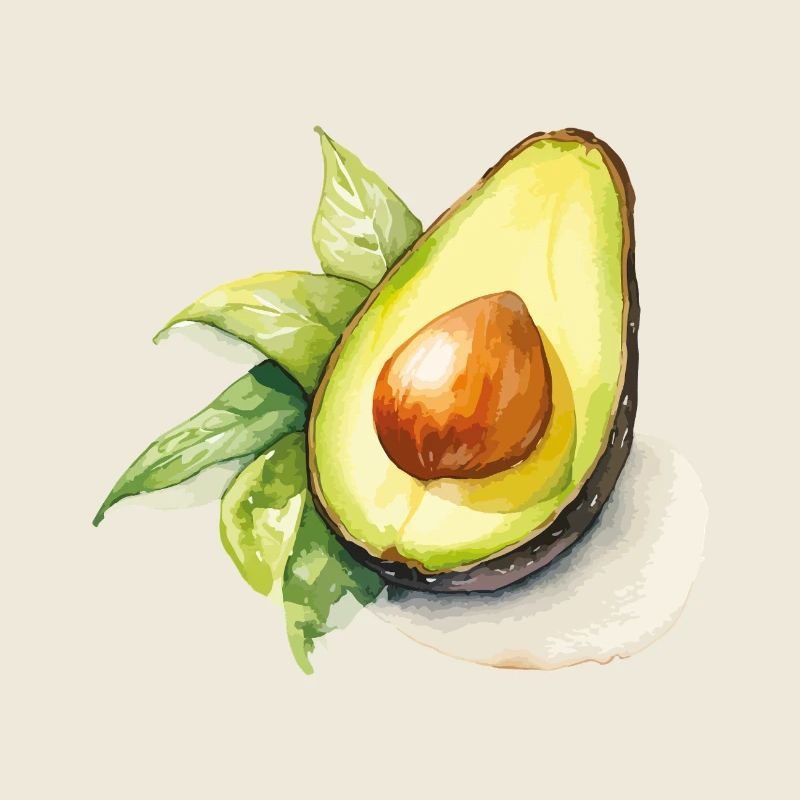 Illustration aquarelle avec avocat