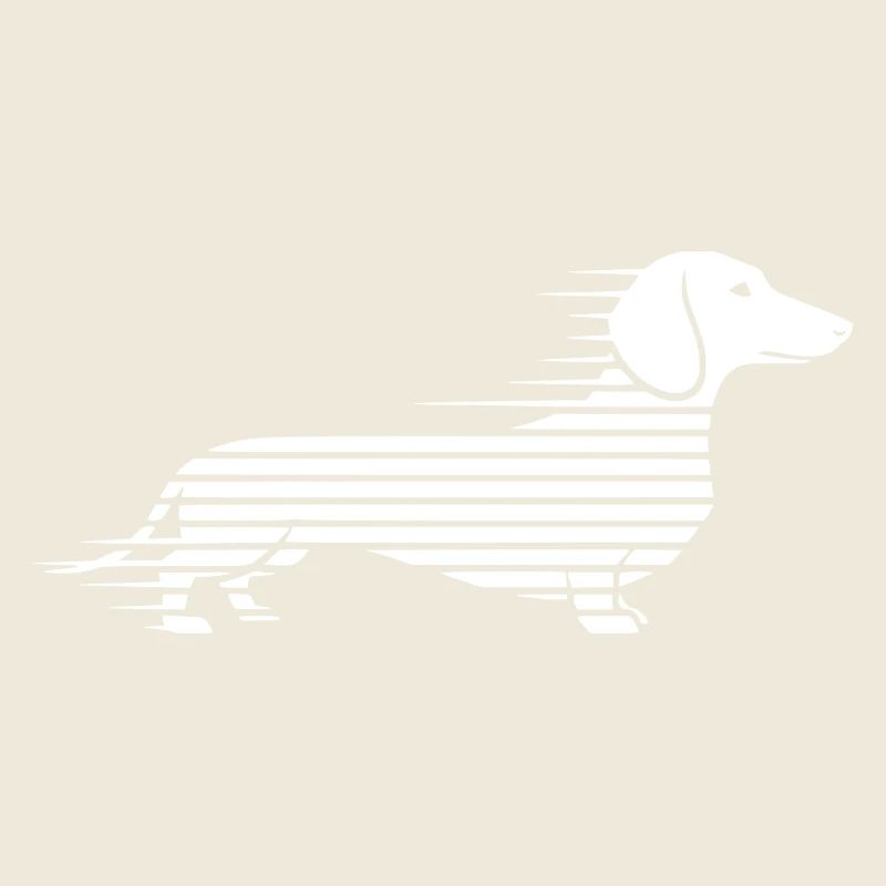 Teckel rayé en course