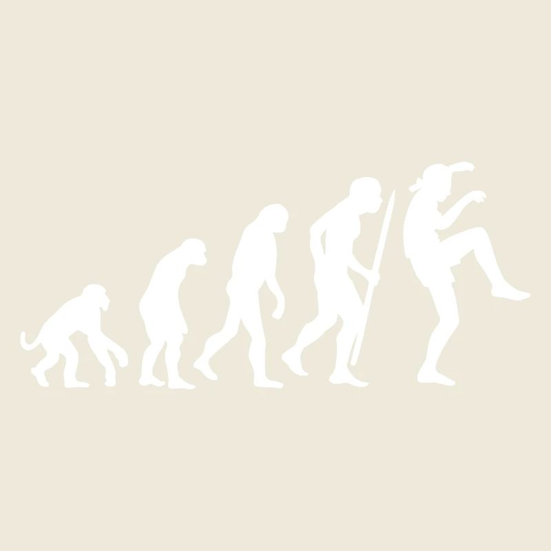 Lustige Evolution Karate Vintage 80er Crane Kick