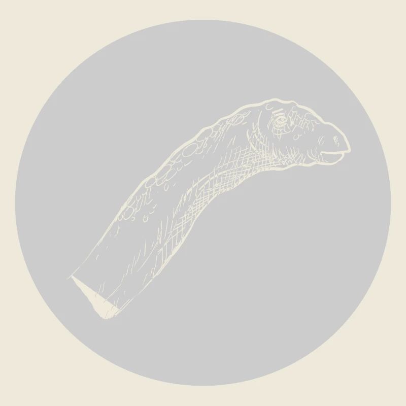 Long-neck Dino dinosaur dinosaur