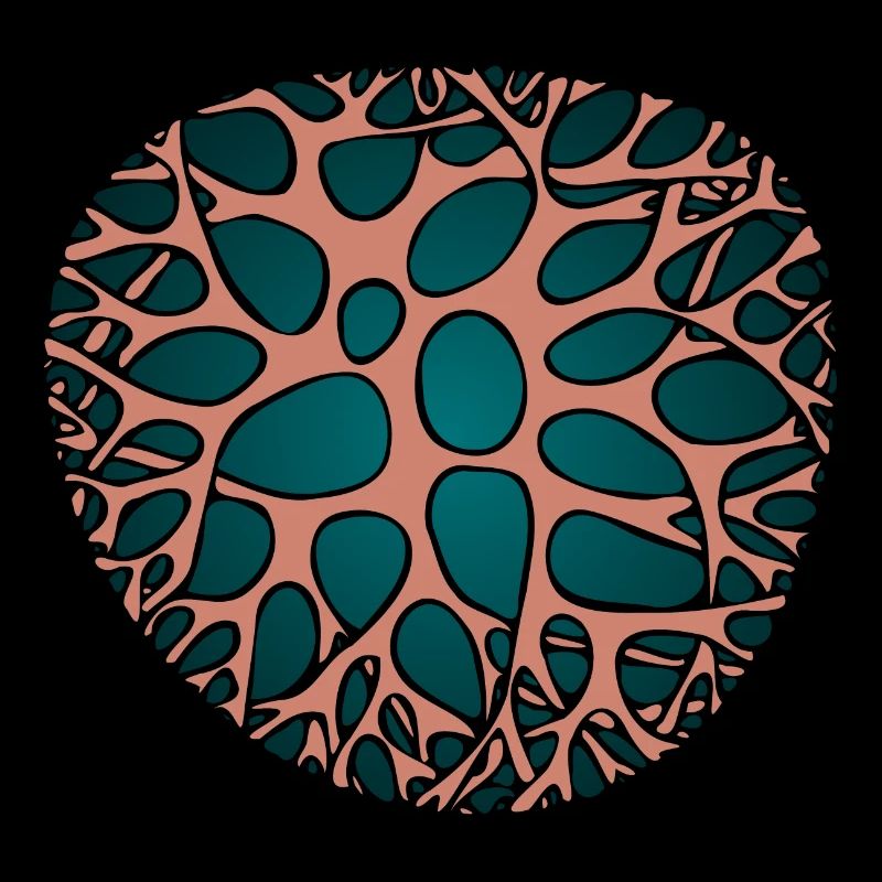 CORAL Save the Ocean Plongée en mer éponge