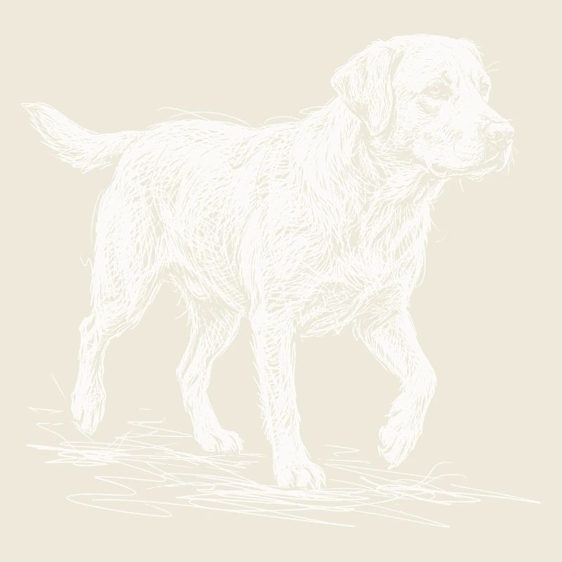 Labrador Sketch Weiß – Minimalistisches Design