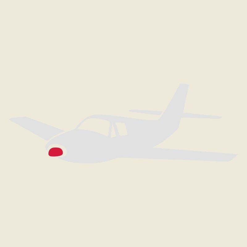 small aircraft (colors can be customized!)