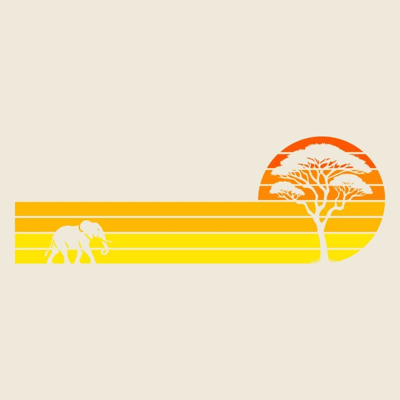 Coucher de soleil africain