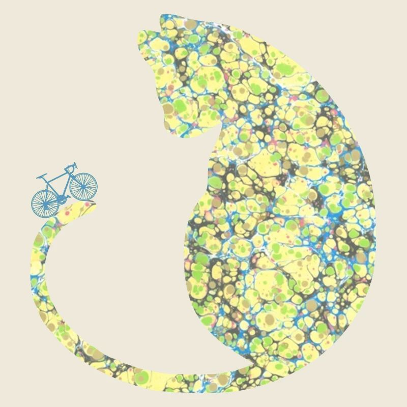 Cat with Bike E 219