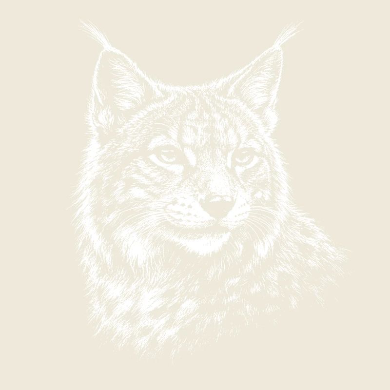 Lynx - realistic lynx graphics