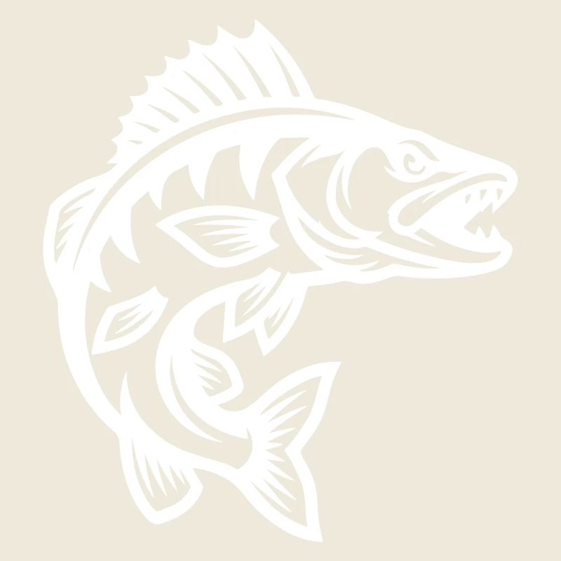Brochet