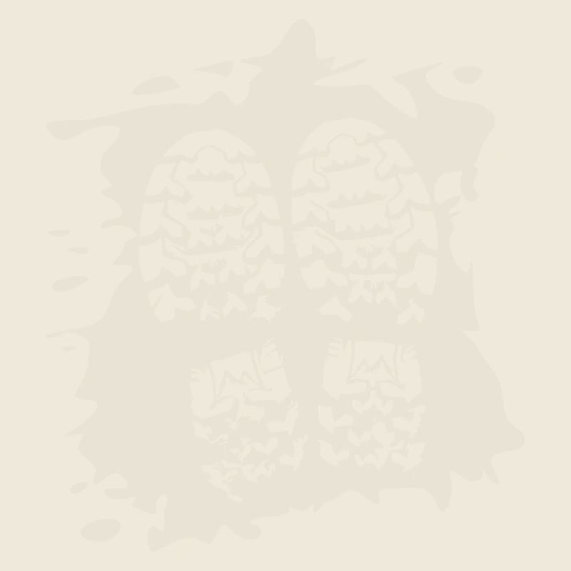 Twin Trails - Shoe Prints [White]