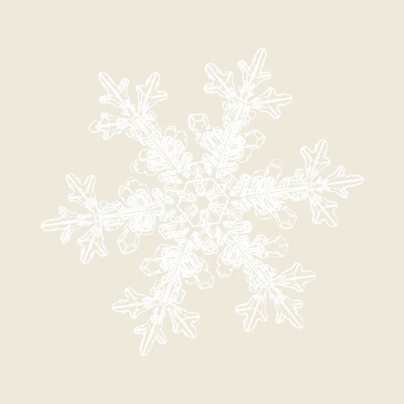 snowflake 7 white