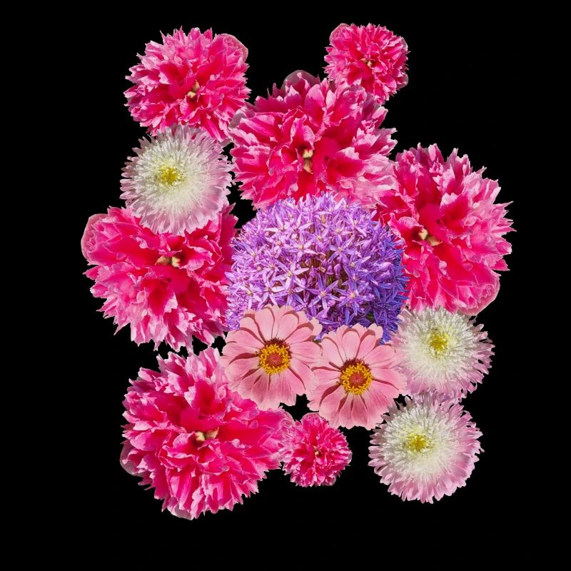 pinker Blütentraum Blüten pink Blumenstrauß