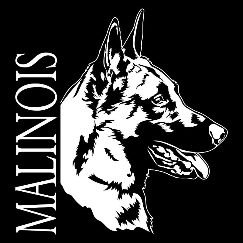 Malinois Portrait Chien Chiens Wilsigns