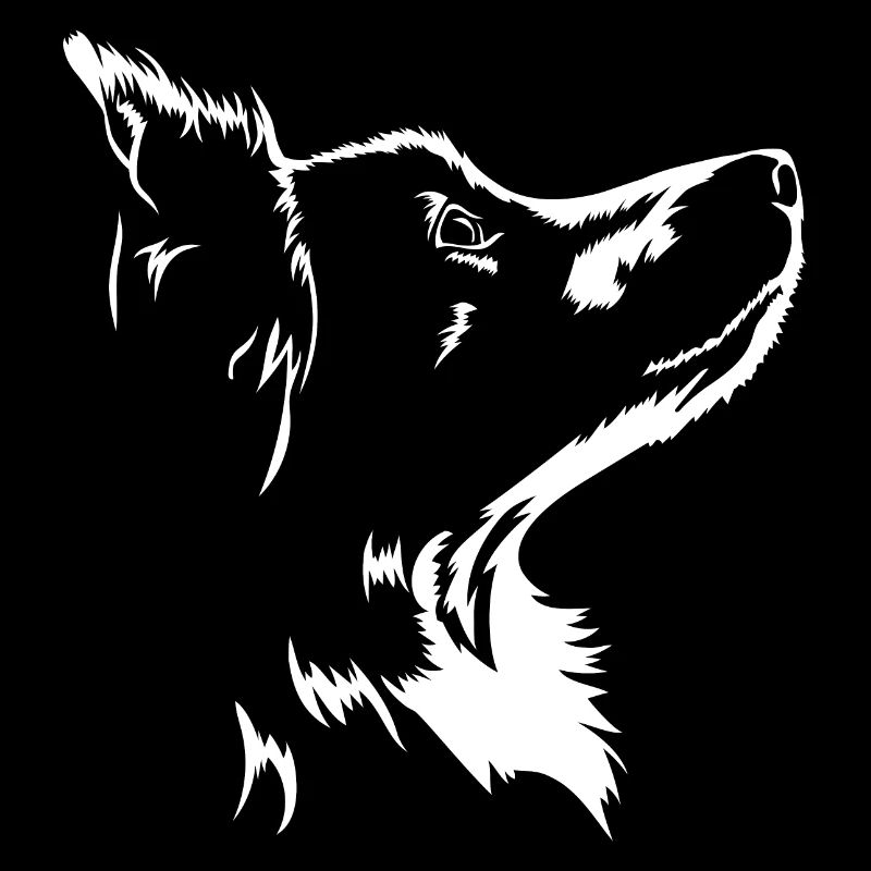Border Collie Dogs Dog Herding Dogs Wilsigns