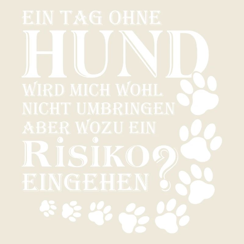 Hund Labrador Agility Tierschutz