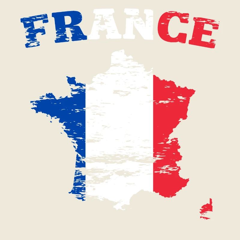 France Wall Map Flag used