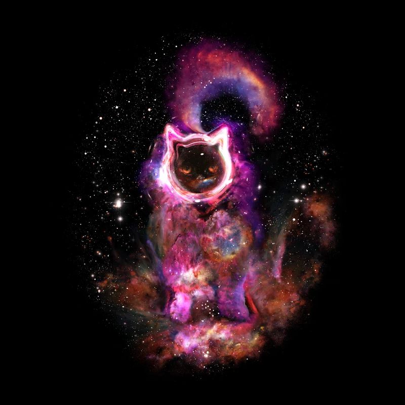 Das Schwarze Loch, bekannt als deine Katze