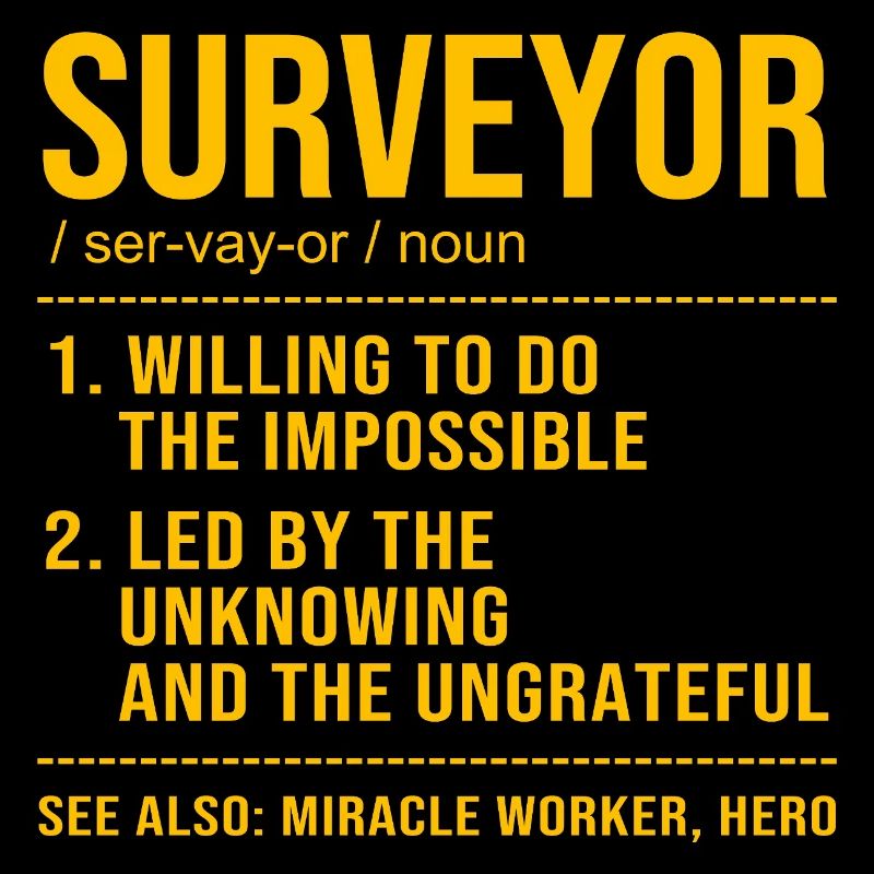 Surveyor
