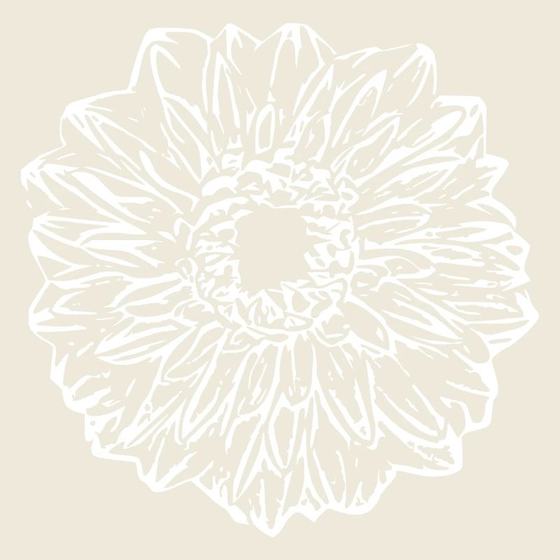 Blume weiß weiße Blume