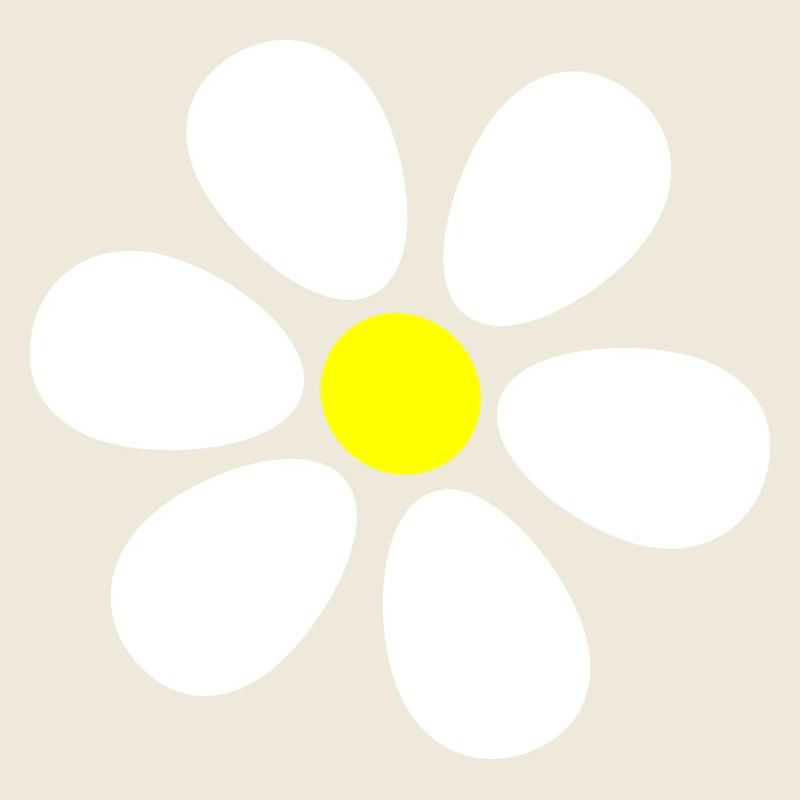 Fleur Fleur Blanche Fleurs Blanches Marguerites