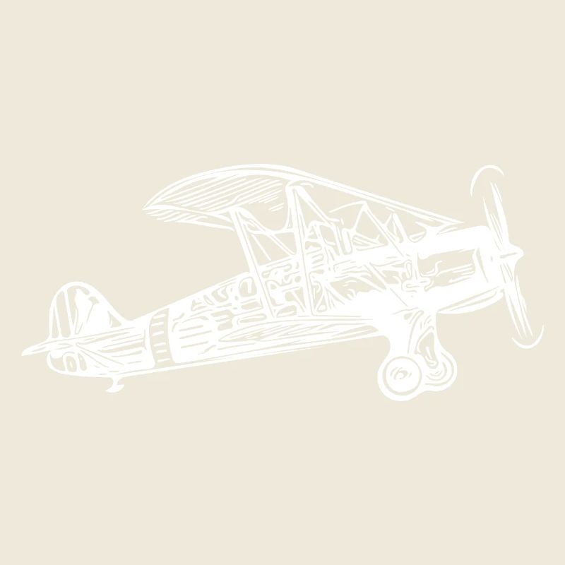 Flying Box Biplan Vintage Illustration