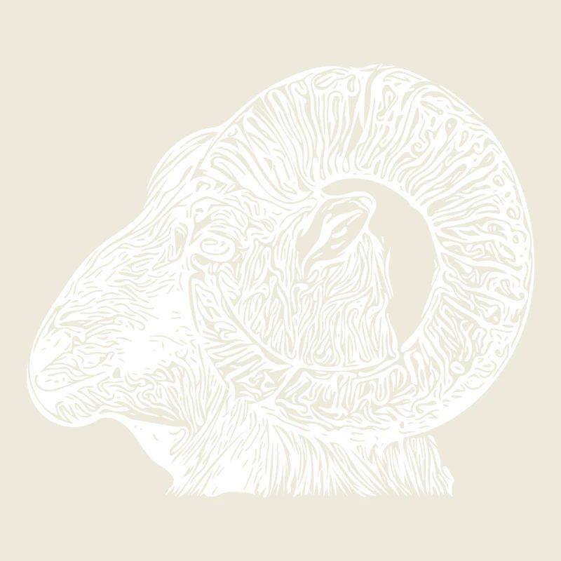 Widder Kopf mit Hörnern