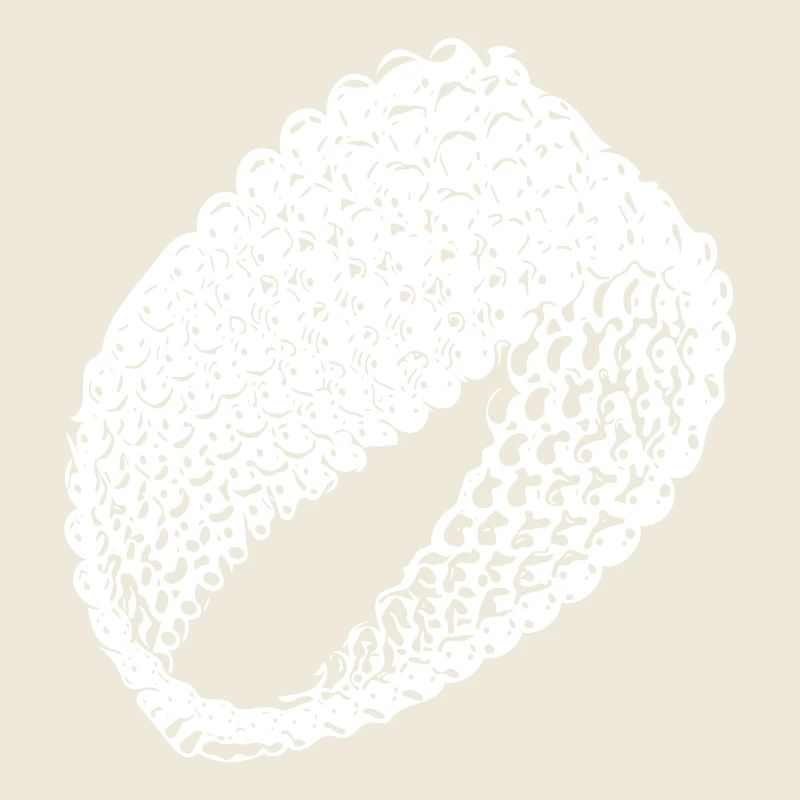 Geometric vintage Möbius loop flat surface