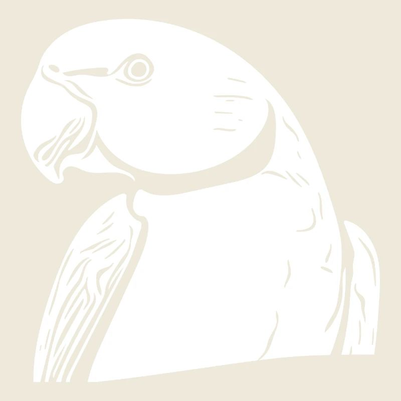 Collared Parakeet Portrait Vintage Parrot Drawing