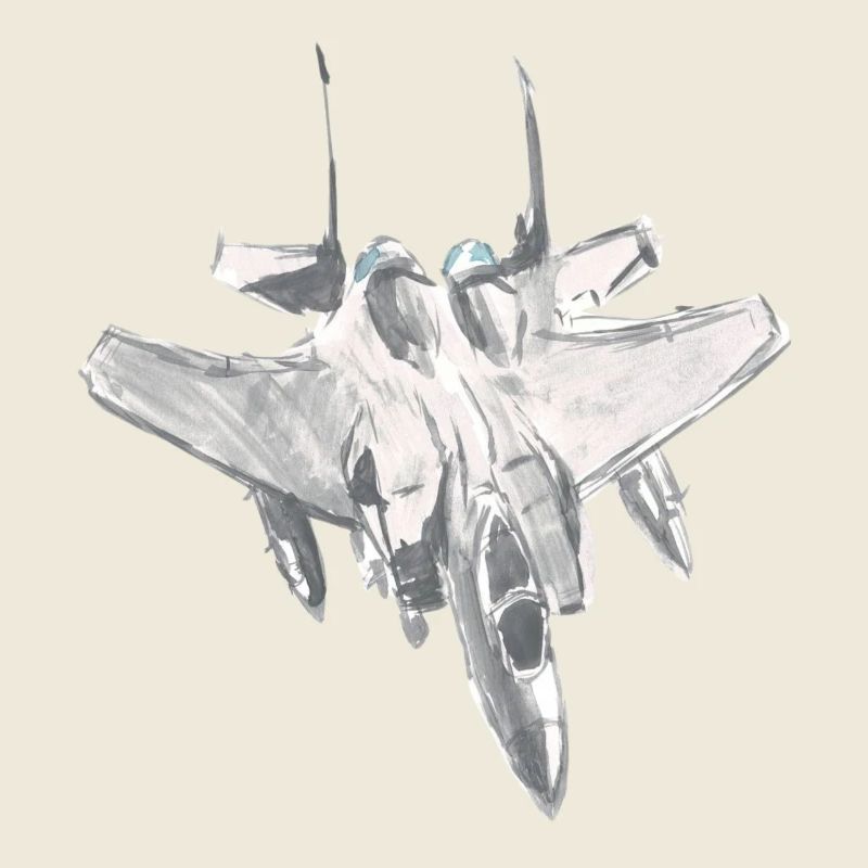 F-15 F 15 Jet Pilot Afterburner Thrust G-force