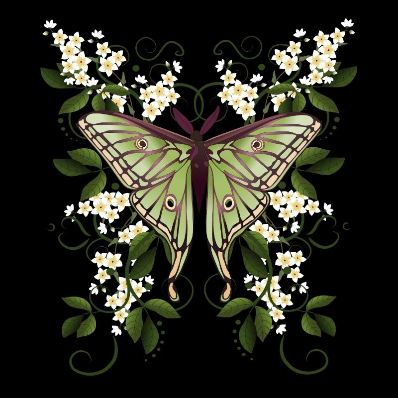 Butterfly Moth Butterfly