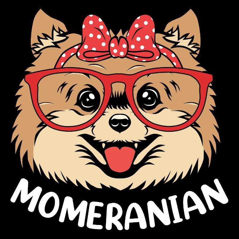 Pomeranian Zwergspitz Hund