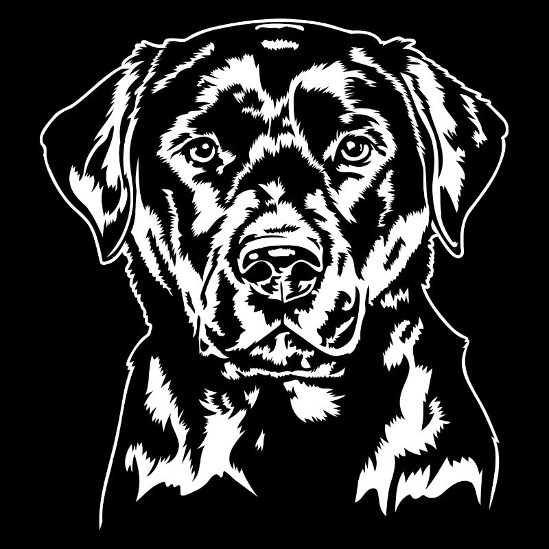 Labrador Portrait Labbi Hunde Hund Wilsigns
