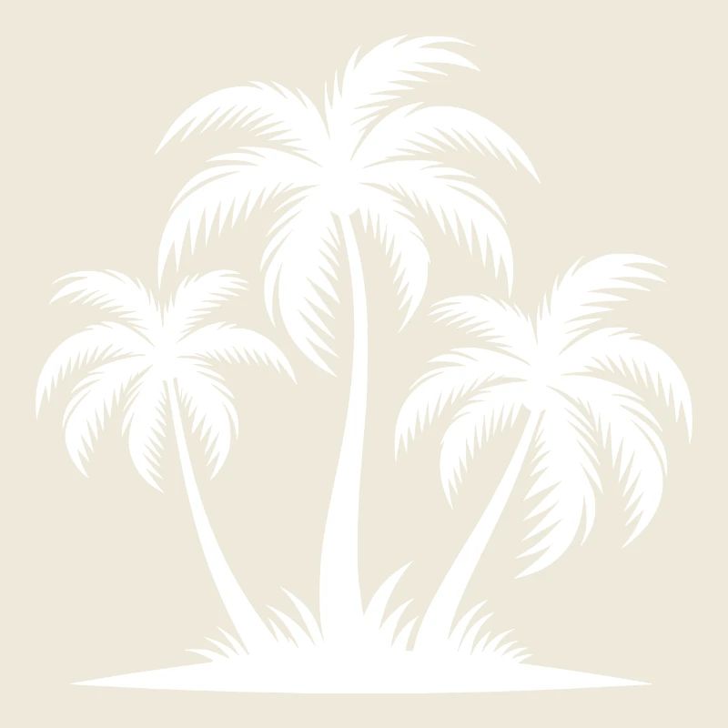 Plage Plage Île d’Hawaï Palmiers