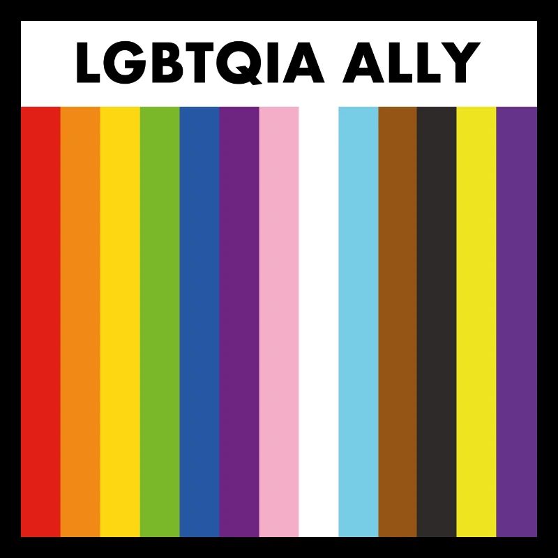 LGBTQIA ally inclusive pride flag