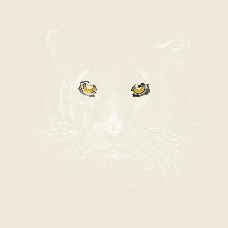 Panther