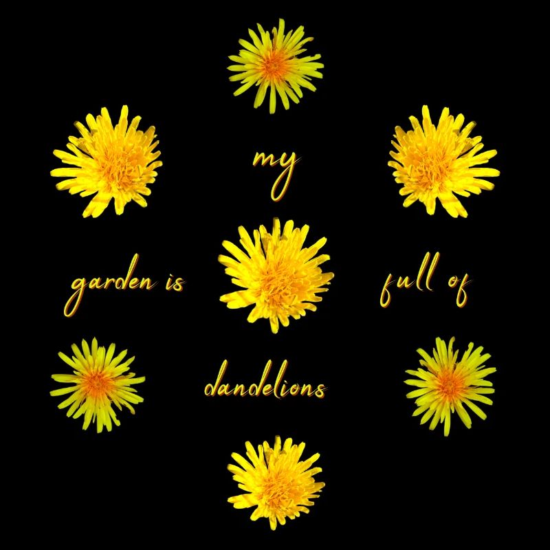 dandelions garden
