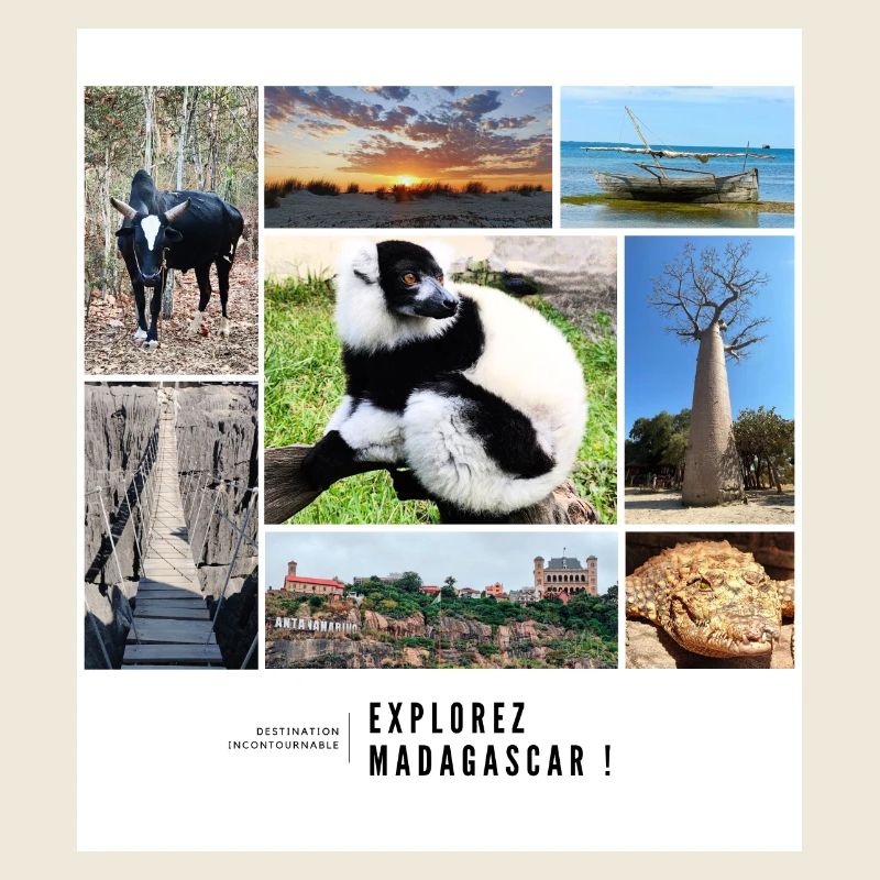 Souvenirs de Madagascar