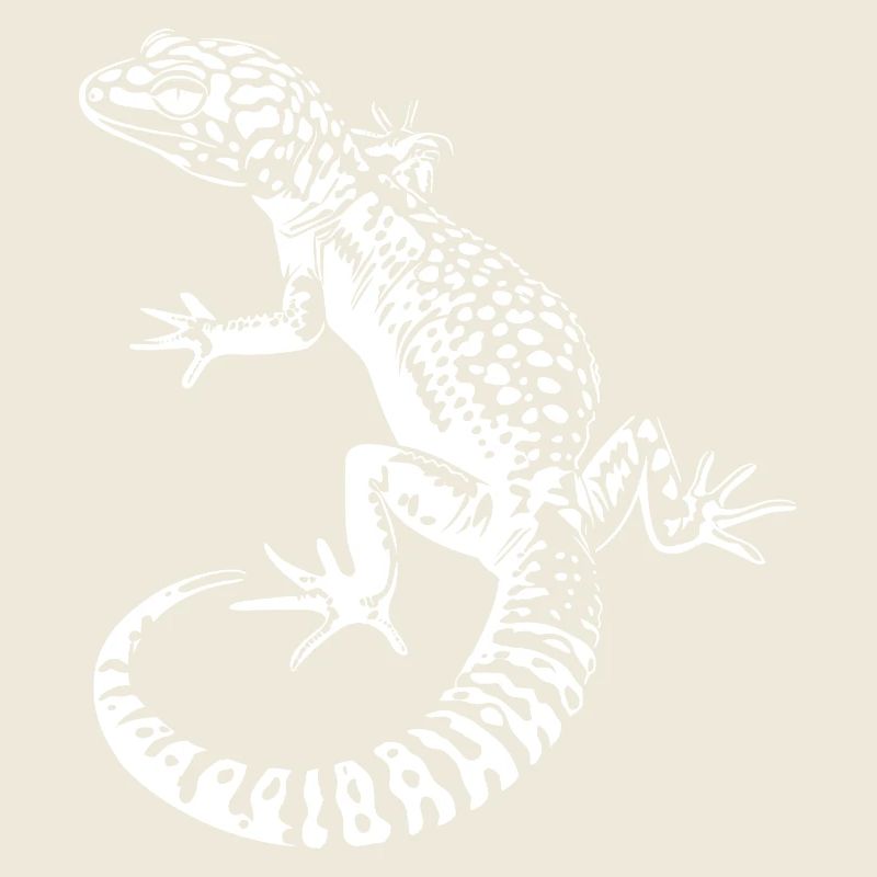 Gecko Leopardgecko Kontrast